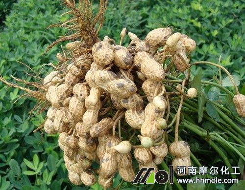 ����׷�ʕr�g