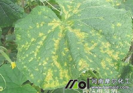 �S��˪ù��