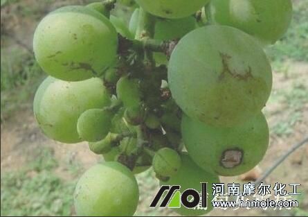 ���ѻ�ù��