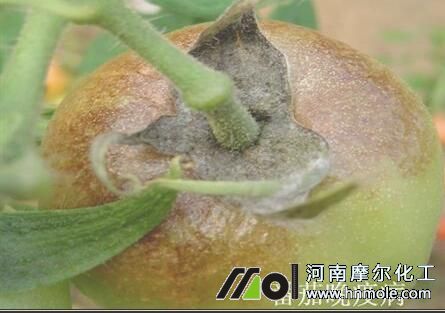 �������߲�