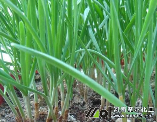 �²�������c