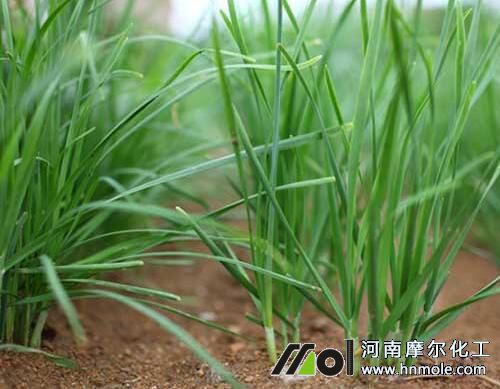 �²�׷ʩˮ�ܷ�Ч��