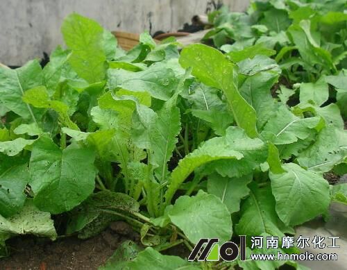 ���}������׷ʩˮ�ܷ�