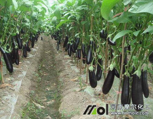 ����������c