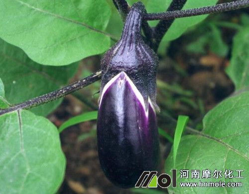 ���ӽY����׷ʩˮ�ܷ�