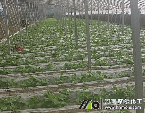 ˮ�ܷ�ʩ�Ã��c