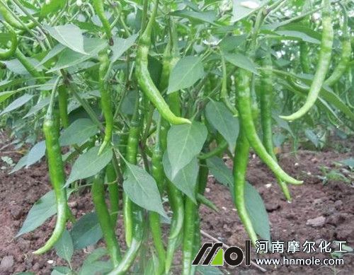 �����Y����׷ʩˮ�ܷ�