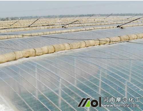 �����Nֲ�ضȰѿ�