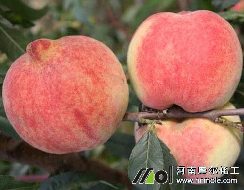 �Ҙ�������c