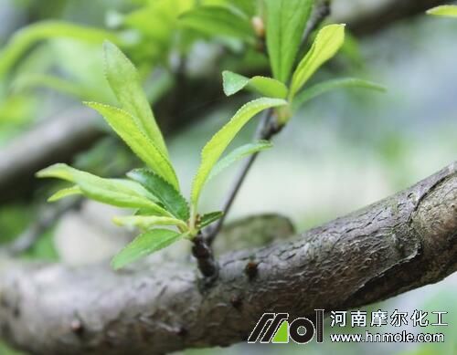 �Ҙ�lѿ��׷ʩˮ�ܷ�