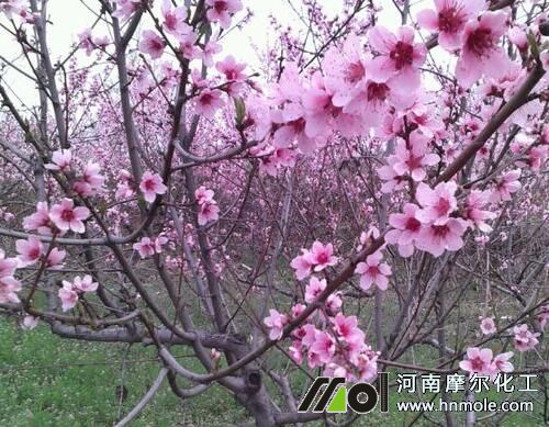 �Ҙ仨ǰ׷ʩˮ�ܷ�