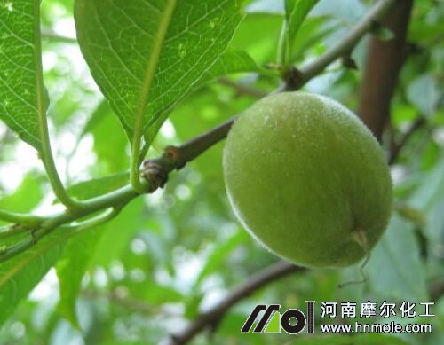 �Ҙ�Y����׷ʩˮ�ܷ�