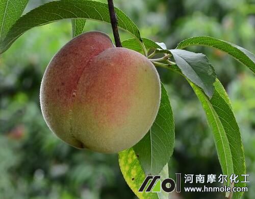 �Ҙ�ɹ���׷ʩˮ�ܷ�