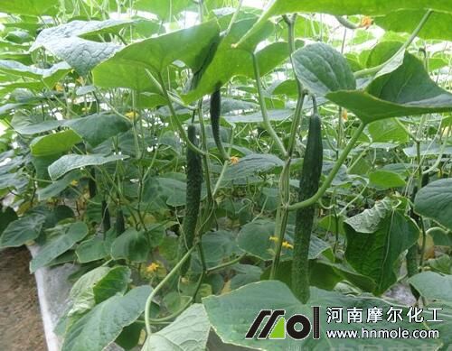 �S�Ϝض��^�������S�~