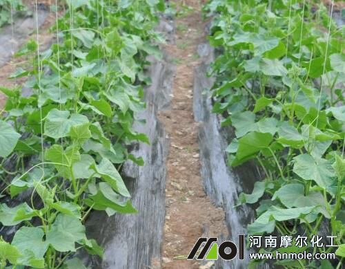 �S�ϝ�ˮ�^�������S�~