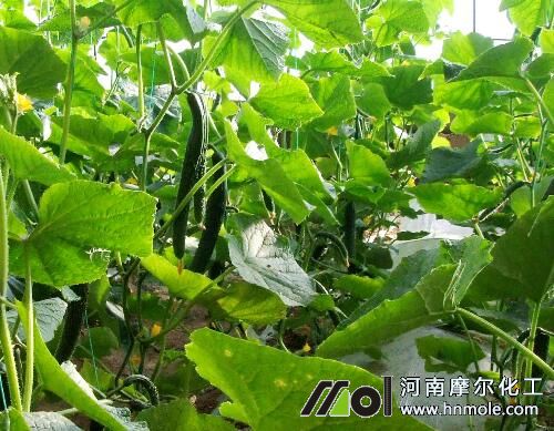 �S��ʩ���^�������S�~