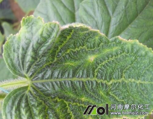 �S��ȱ�������S�~