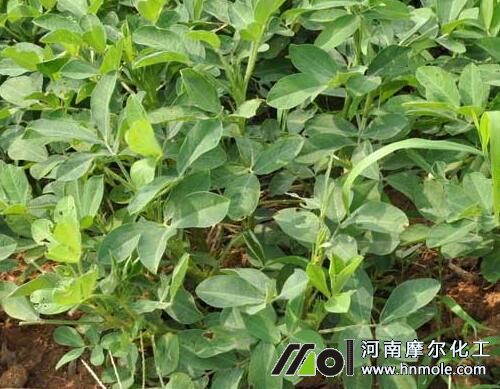 ����������c