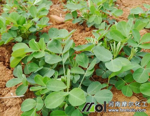 ��������׷ʩˮ�ܷ�