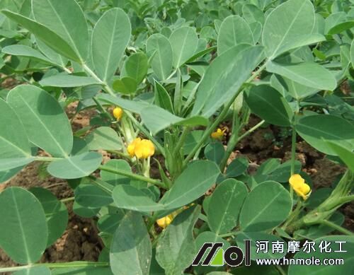 ��������׷ʩˮ�ܷ�