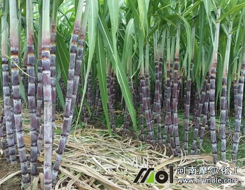 ����������c