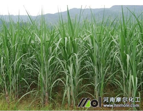 ��������׷ʩ����ˮ�ܷ�