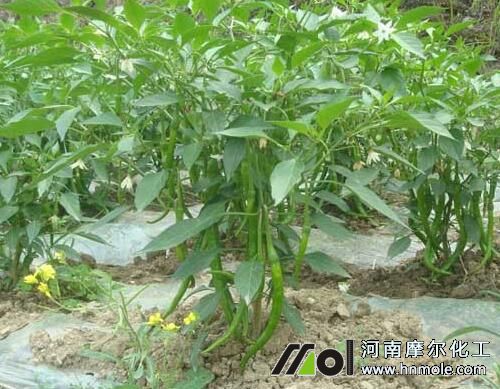 ��������׷ʩˮ�ܷ�