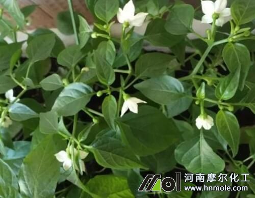 ����������׷ʩˮ�ܷ�