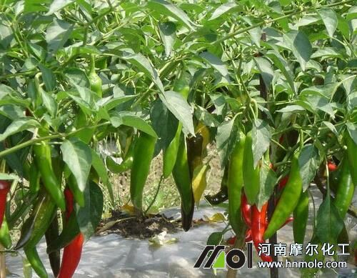 �����Y����׷ʩˮ�ܷ�