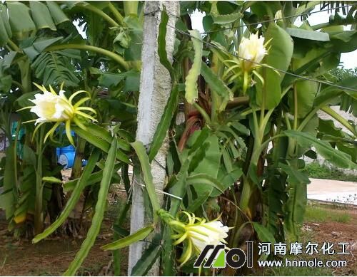 �������ٻ��~����x��