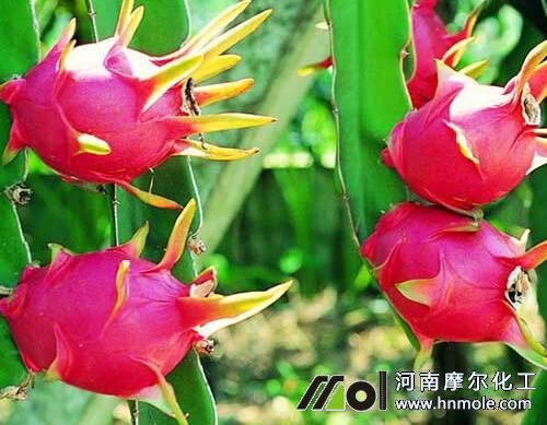 �������~����÷�