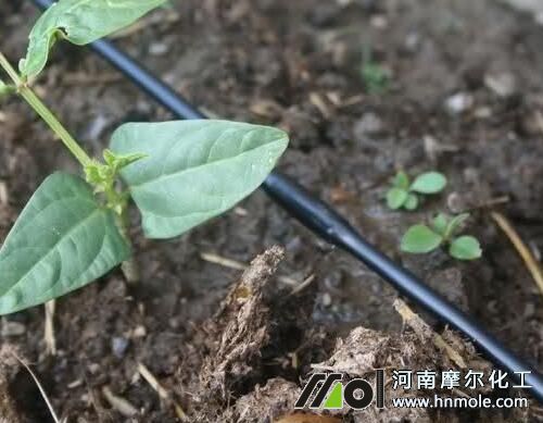 �M��ˮ�ܷʺÉ��R�e