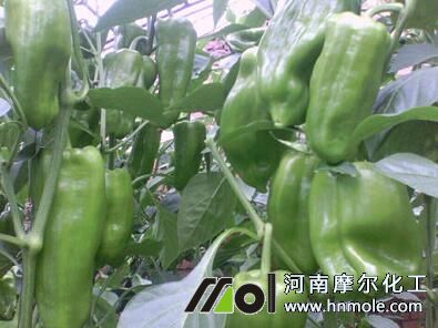 ����ˮ�ܷ�Ч��