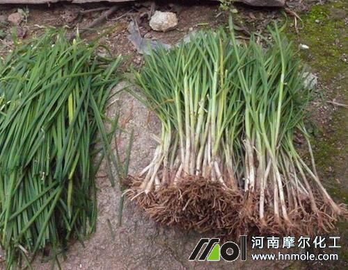 ���Ծ²�ʩ�ʆ��}