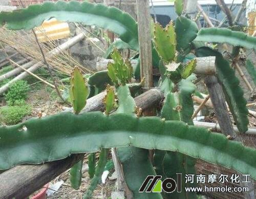 ��������ѿ�ֻ�ǰ��ʩ�~���