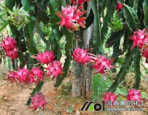 �������Y(ji��)���ڇ�ʩ�~���