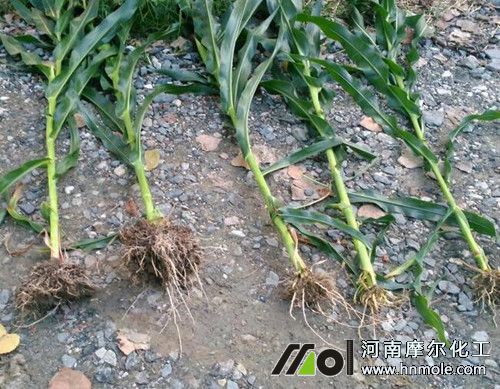 ˮ�ܷ�Ч���^Ħ