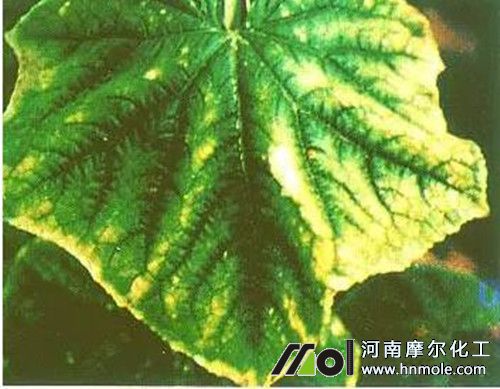 �S��ȱ⛱��F