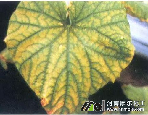 �S��ȱ�\���F