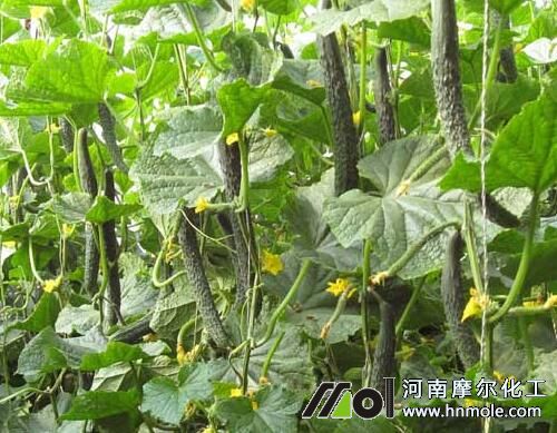 �M��ˮ�ܷ��S�ϸ߮aʩ�ʷ���