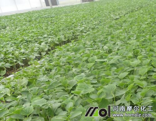 �S������׷ʩˮ�ܷ�