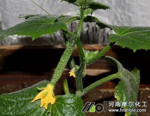 �S�ϻ�ǰ׷ʩˮ�ܷ�