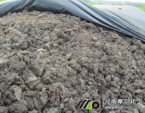 大蒜施底肥注意 大蒜施底肥注意