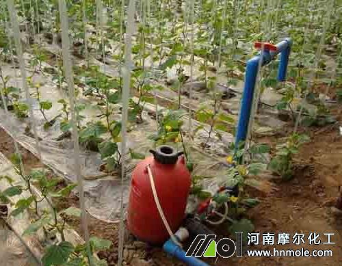 沖施滴灌一畝地用水 沖施滴灌一畝地用水