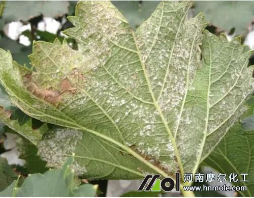 ����˪ù���Y��