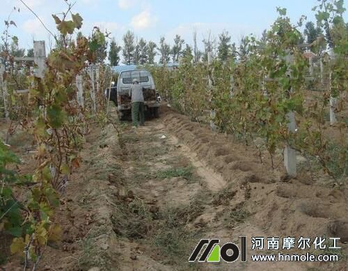 ���Ѳ�ժ��ʩ�ʺ�̎