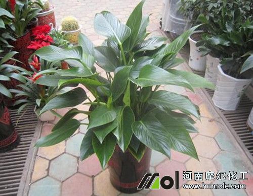 ���Ի��~��ʇ�ʩ�r�g