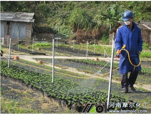 ��ľ�~��ʇ�ʩ���g