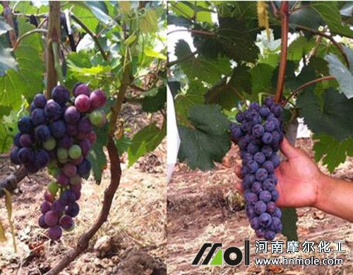 ˮ�ܷ�Ч����(du��)��