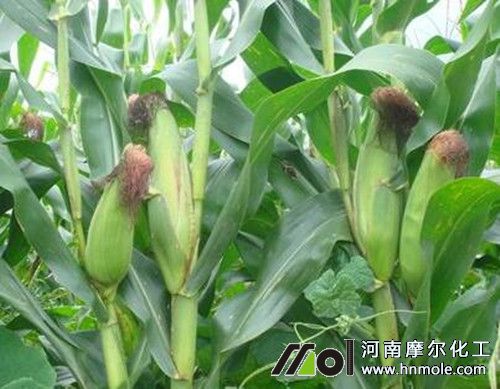 ���׸߮a(ch��n)ʩ�ʷ���